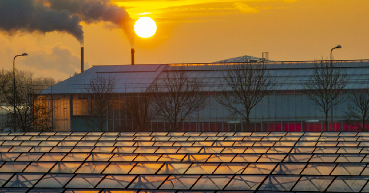 anp glastuinbouw robin utrecht